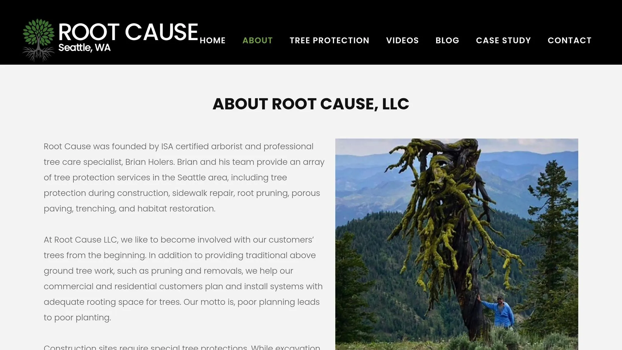 Root Cause Seattle