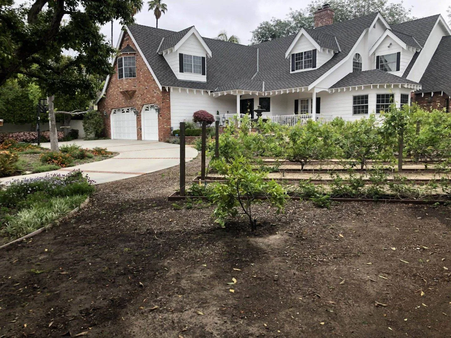 front-yard-before-Large-1920w