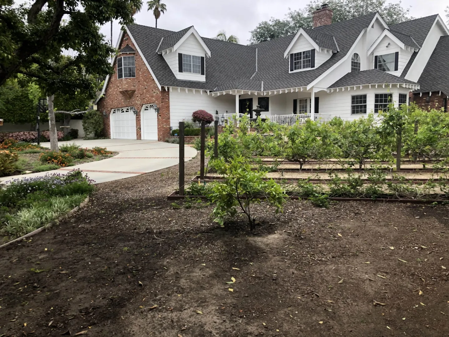 front yard before (Large)